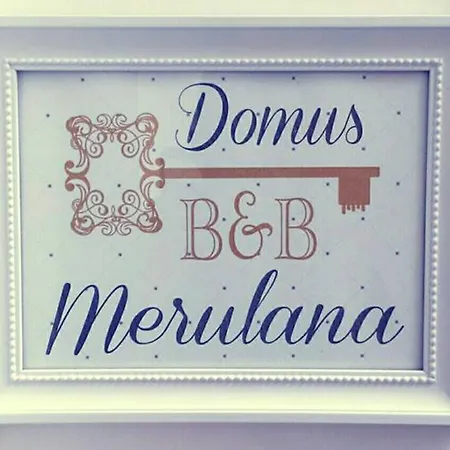 Bed and breakfast Domus Merulana 3*